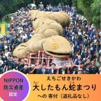 NIPPON 防災資産認定 えちごせきかわ大したもん蛇まつりを…