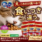 銀のスプーン 贅沢うまみ仕立て 下部尿路の健康維持用