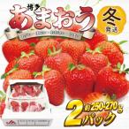博多あまおう 冬 250g-270g×2P
