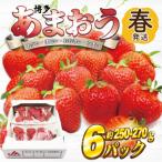 博多あまおう 春 250g-270g×6パック