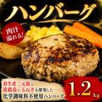 羽生産三元豚の合挽ハンバーグ1.2kg 200g×6個