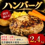 羽生産三元豚の合挽ハンバーグ2.4kg 200g×12個