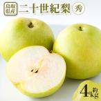 梨 二十世紀梨 秀 約4kg