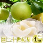 梨 訳あり 二十世紀梨 4kg