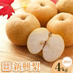 新興梨 4kg