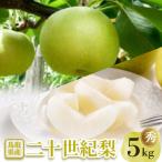 梨 二十世紀梨 秀5kg 1733754