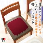 BSファインマット ワインレッド フリーサイズ