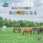 より多くの引退馬の幸せな余生を願う Yogiboヴェルサイユリ…