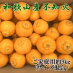 農園直送 産不知火 もりもりの約9kg サイズ混合