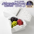 ダイヤモンド型の箱に入ったぶどう 厳選3種 1kg