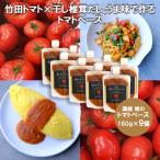 濃縮 姫のトマトベース 9個