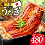 うなぎ蒲焼 480g以上