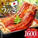 うなぎ蒲焼 1600g以上