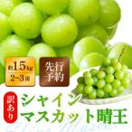 訳ありシャインマスカット 晴王 2~3房 合計1.5kg以上