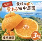 みかん 訳あり 不知火 しらぬい 約3kg