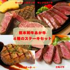 産あか牛4種のステーキセット サーロイン