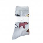 horses chattering socks