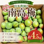 紀州南高梅 訳あり 青梅 梅酒 梅ジュース用 約4.5kg