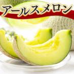 アールスメロン 1玉