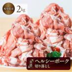 美濃ヘルシーポーク 切落し 計2kg