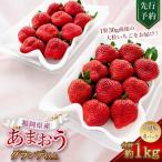産苺 あまおう グランデ以上 270g