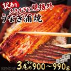うなぎ蒲焼き3尾冷凍たれ山椒付き 中
