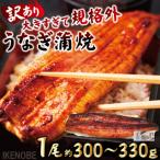 うなぎ蒲焼き1尾冷凍たれ山椒付き 中