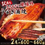 うなぎ蒲焼き2尾冷凍たれ山椒付き 中