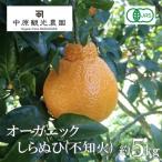 中原観光農園 大崎上島産オーガニックしらぬひ 約5kg