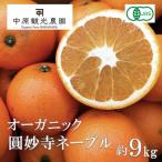 大崎上島産オーガニック圓妙寺ネーブル 約9kg