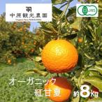 中原観光農園 大崎上島産 オーガニック紅甘夏 約8kg