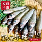 日野川育ちの夏香鮎 小鮎 約10cm 瞬間冷凍 1kg