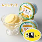 有田みかんジェラートアイス 8個入り