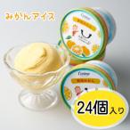 有田みかんシャーベットアイス 24個入り_ZE6528