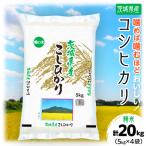 令和8年産 コシヒカリ 精米 合計20kg