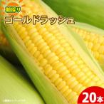 とうもろこし 20本