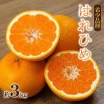 ふるさと納税 松山市 はれひめ 約3kg【2026年12月下旬頃から順次発送】産地直送 みかん