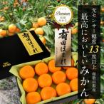 高糖度13度以上 有田ほまれ 秀品 Мサイズ 12玉