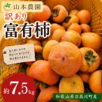 富有柿 サイズ混合 甘くて濃厚 約7.5kg