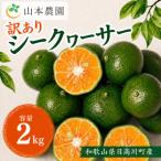 果汁 シークヮーサー サイズ混合 約2kg