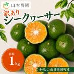 果汁 シークヮーサー サイズ混合 約1kg