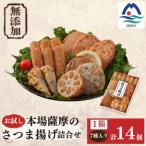 無添加 甘さ控えめ 本場薩摩のこだわりさつま揚げ詰合せ