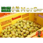 紀州和歌山の熟南高梅 約3kg+3%