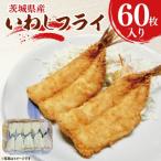 いわしフライ 60枚
