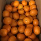 有田みかん 3kg
