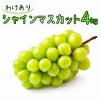 シャインマスカット 4kg
