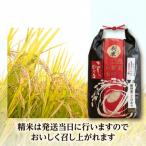 令和8年産 産こしひかり精米5kg