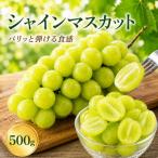シャインマスカット 500g