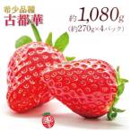 ふるさと納税 奈良市 【先行受付】2027年(令和9年)1月以降順次発送 厳選古都華いちご(270g×4P) drm001