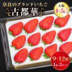 奈良のブランドいちご 古都華 1パック×2セット
